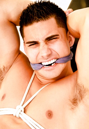 Hot stud Topher DiMaggio