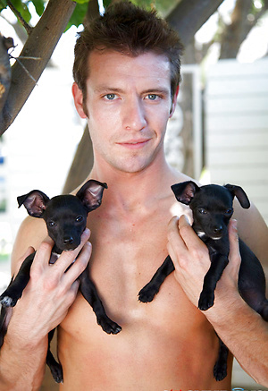 Pornstars and puppy dogs