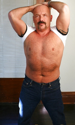 Dillon Roy by Pantheon Bear image 1