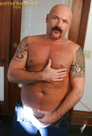 Dillon Roy by Pantheon Bear image 3