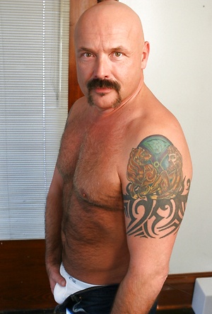 Dillon Roy by Pantheon Bear image 4