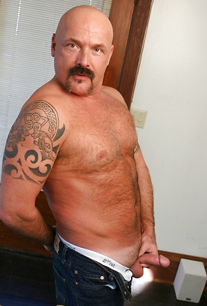Dillon Roy by Pantheon Bear image 6