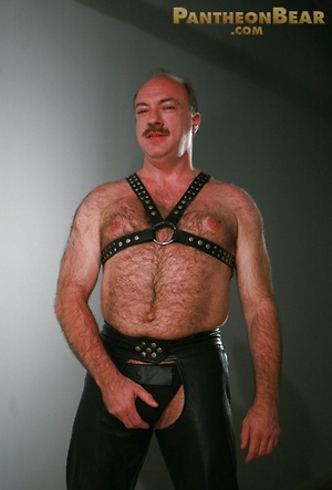 Jeremy Todd by Pantheon Bear image 2