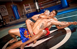 Muscle fighters Trent Diesel and Hugo Milano fucking