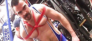 Dolan Wolf by Bound Jocks image 14